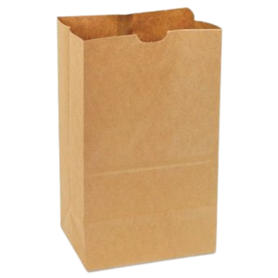 9.7" x 6" x 16.5" Heavy Duty Brown Paper Bags