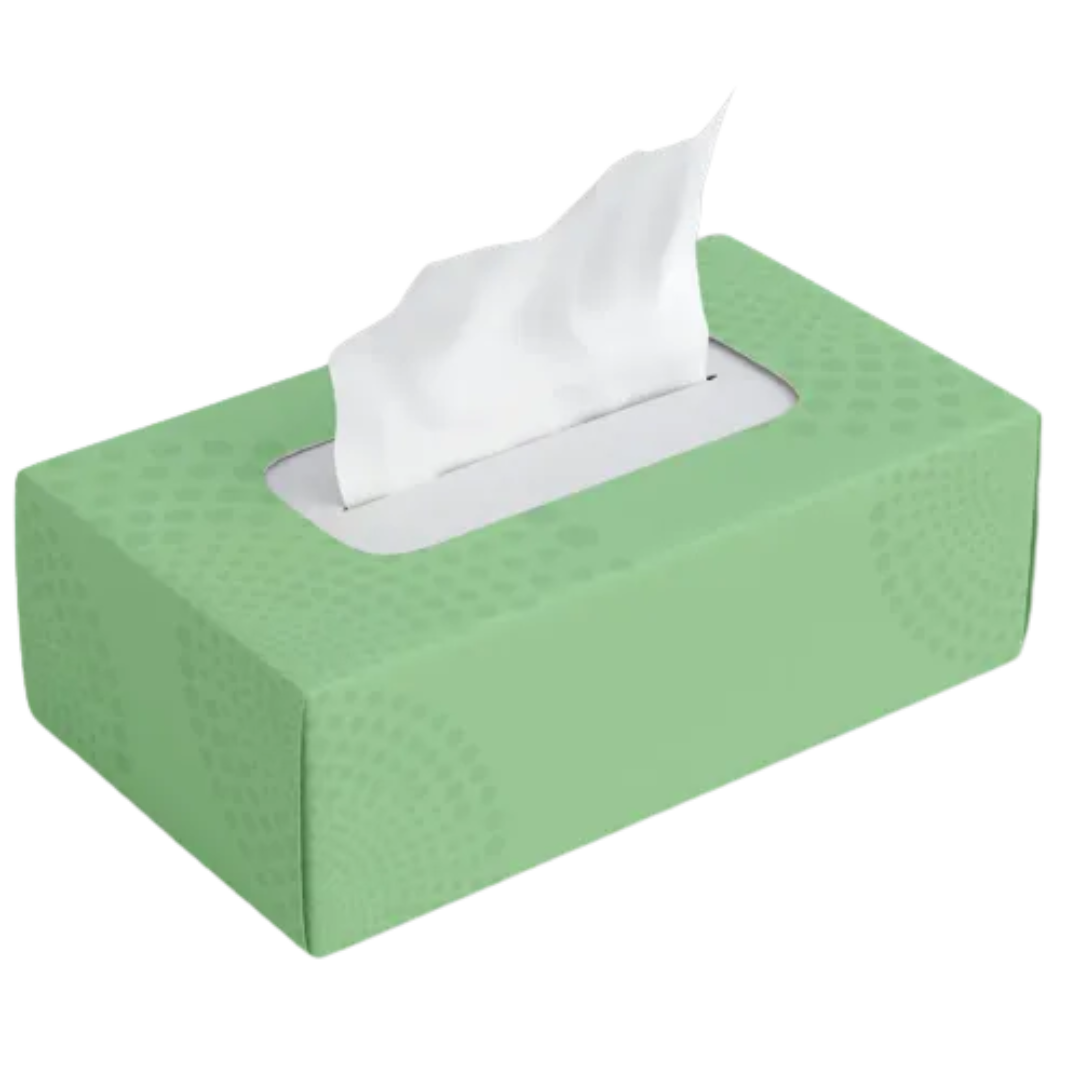 210 sheets, 2 ply Gogo Facial Tissue - 24 boxes