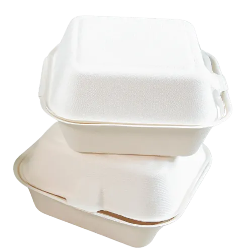 Sugarcane/Bagasse Container