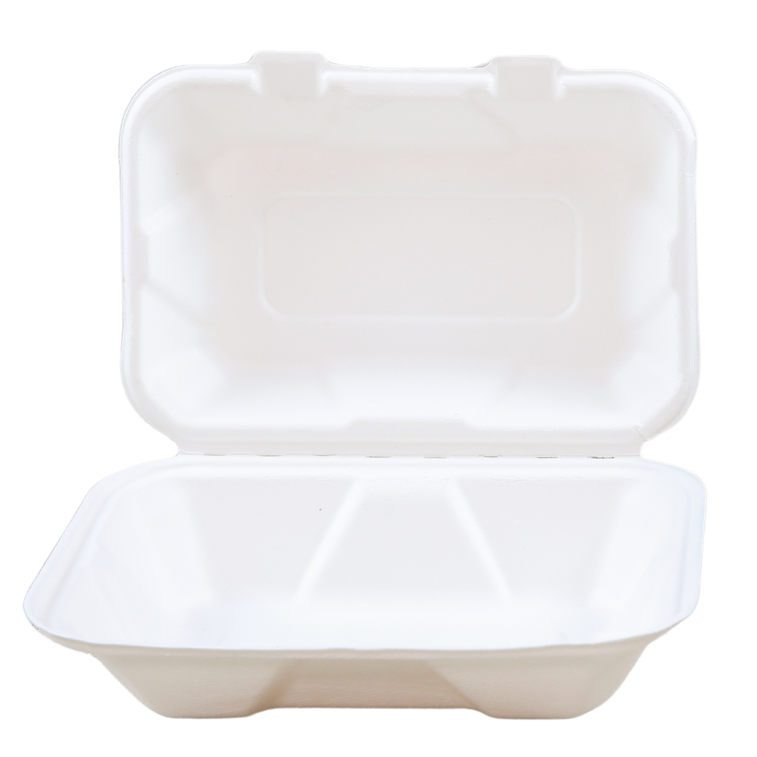 Sugarcane/Bagasse Take-Out Container - SC1961-GV - 200 pcs, 8Lx9/S