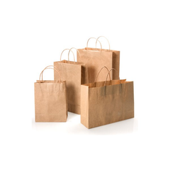 Paper Bag with Twisted Handle, Kraft 10" x 5" x 13"