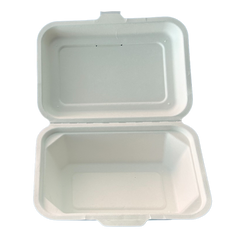 Sugarcane Take-Out Container