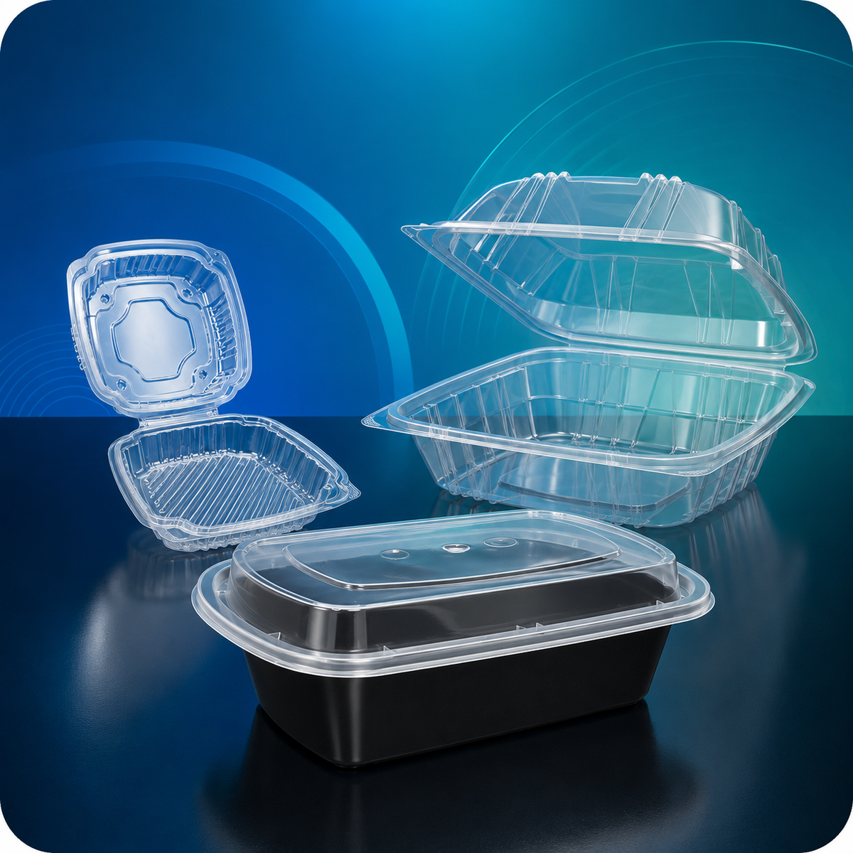 Plastic Take-Out Containers