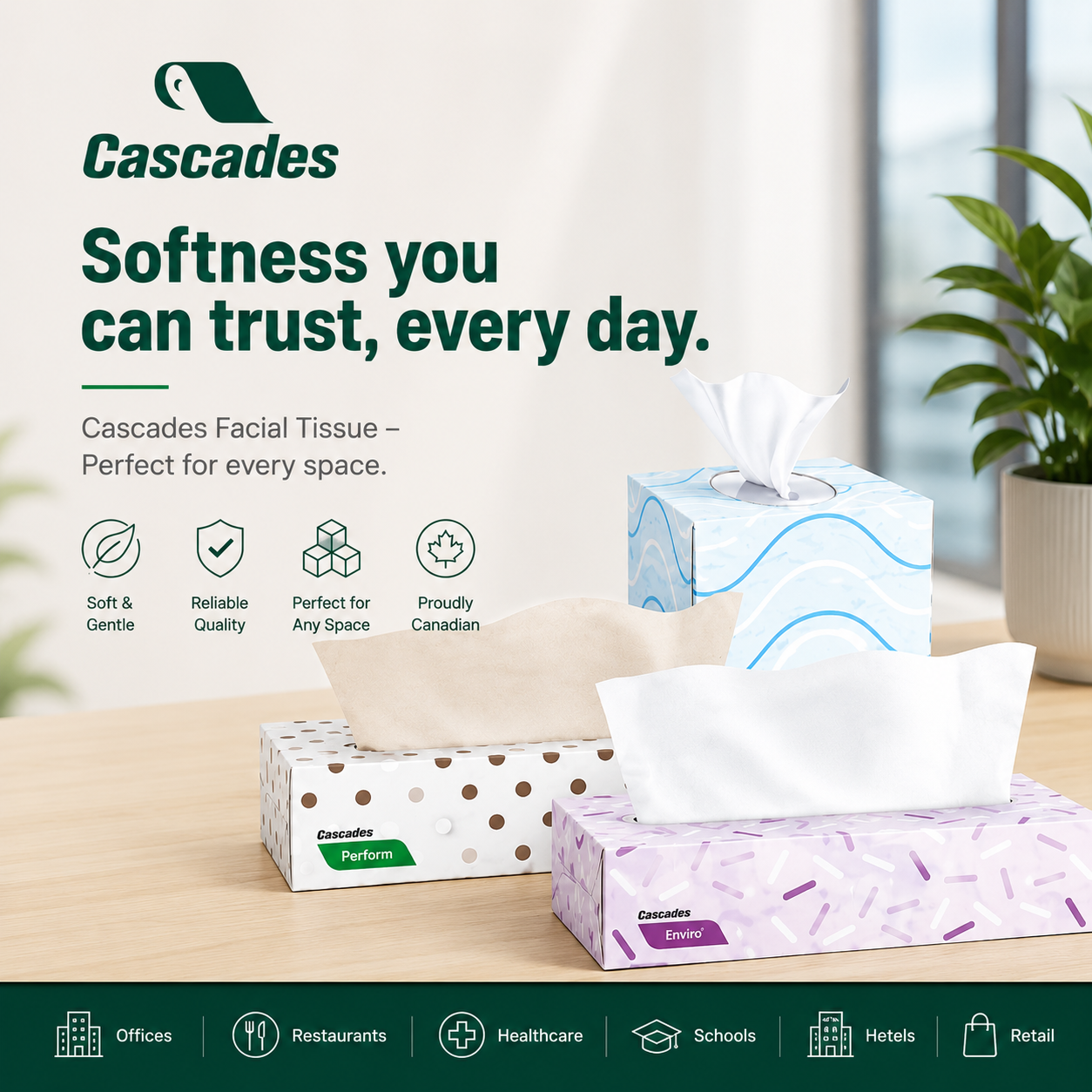 Cascades Facial Tissue