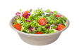 Pulp Container - Bowl
