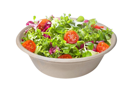 Pulp Container - Bowl