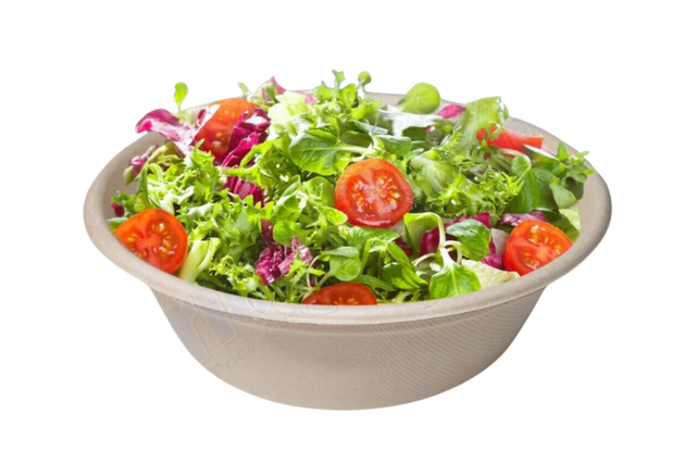 Pulp Container - Bowl