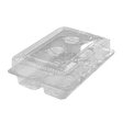 Clamshell Plastic Container
