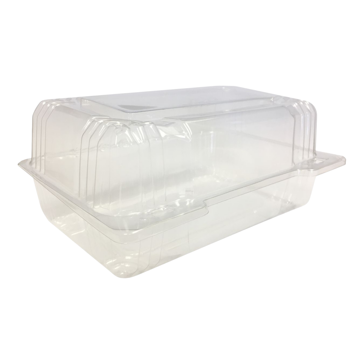 Clear Clamshell Plastic Container