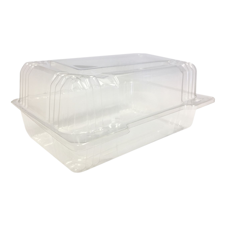 Clear Clamshell Plastic Container