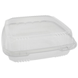 Plastic Clamshell Container* - CS4991-S - 200 pcs, 8x3/S