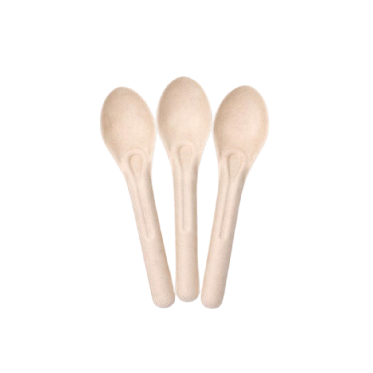 Sugarcane/Bagasse Spoon (CTLS-S) 6 x 1.4 x 0.55 - Green Valley