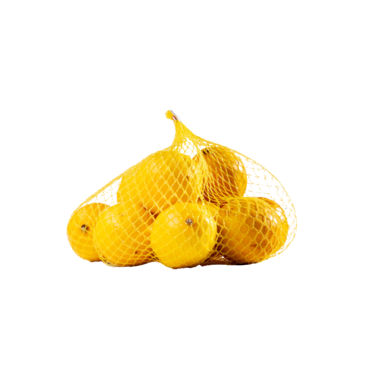 Yellow Net Bag