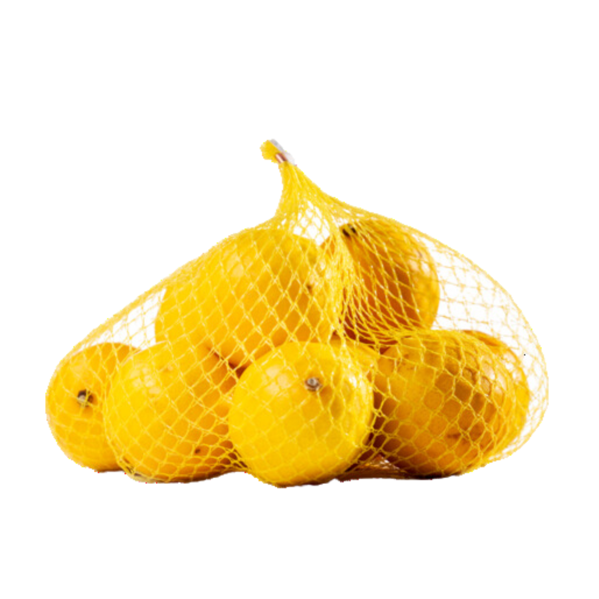 Net-Bag-(YG-17R-2000-MS)-17"-Yellow