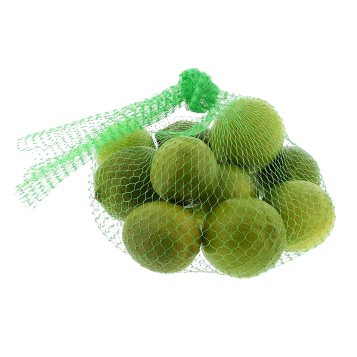 17" Green Net Bag
