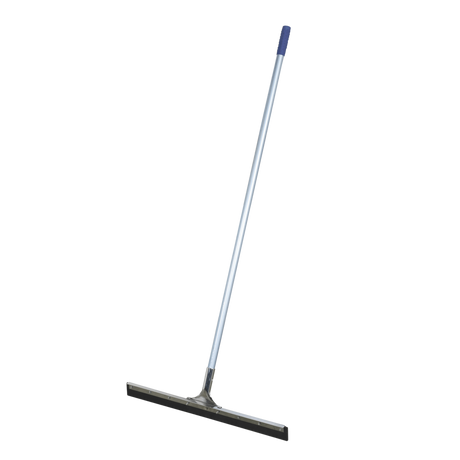Floor Squeegee With Handle