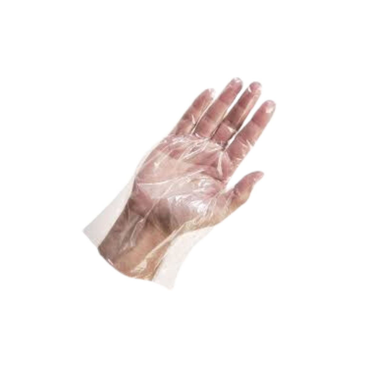 Large Low-Density Polyethylene Deli gloves