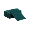 Scouring Pad