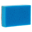 Sponge Scouring Pad
