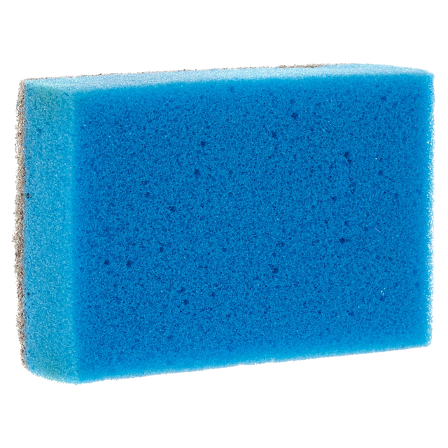 Sponge Scouring Pad