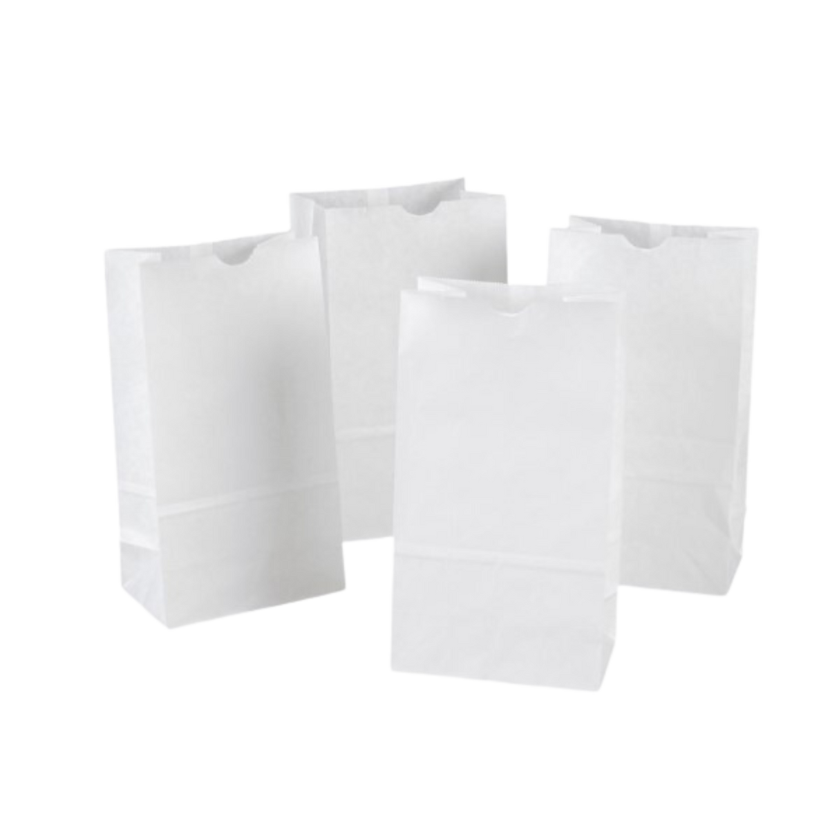 10 lb White Paper Bags