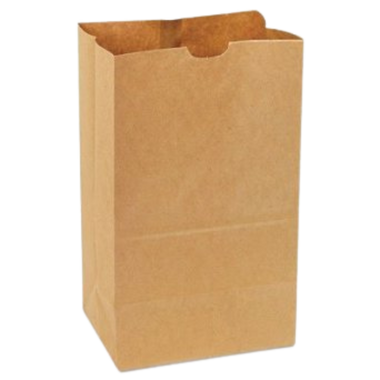 9.7" x 6" x 16.5" Heavy Duty Brown Paper Bags