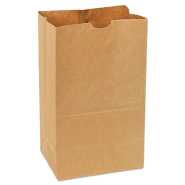 9.7" x 6" x 16.5" Heavy Duty Brown Paper Bags