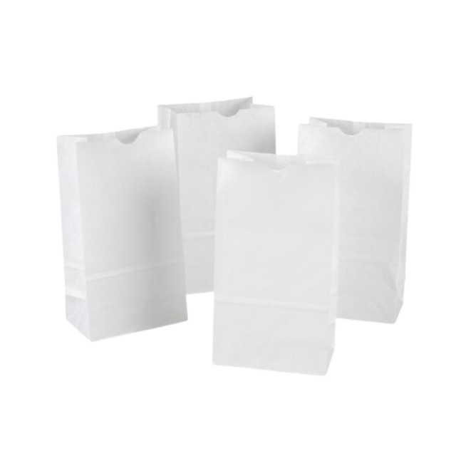 20 lb White Paper Bags
