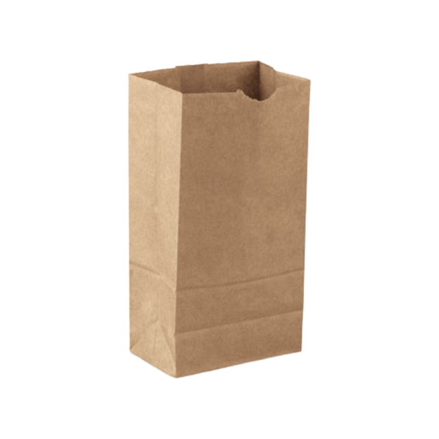 Extra Heavy Brown Paper Bags