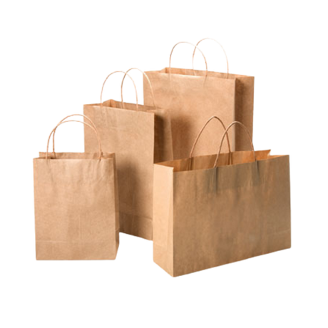Paper Bag with Twisted Handle, Kraft