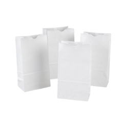 Paper Bags - White (No.5 WHITE) 5 lbs - Sacs Frontenac