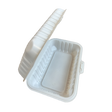 MFPP-Take-Out-Container-(SL-PP188,-DG-018)-8"-x-5"-x-3",-1-comp---PCM