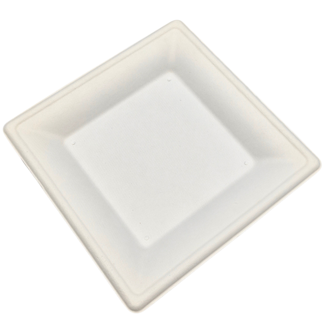 6" Square Sugarcane Plate