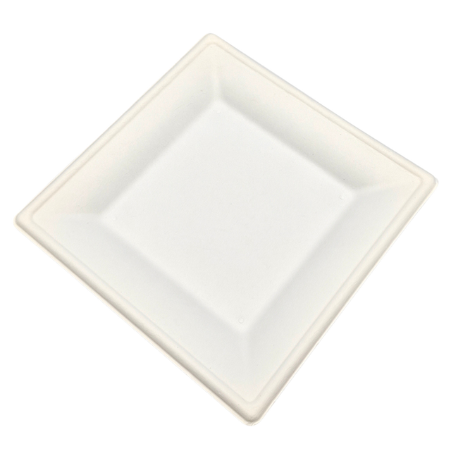 8" Square Sugarcane Plate