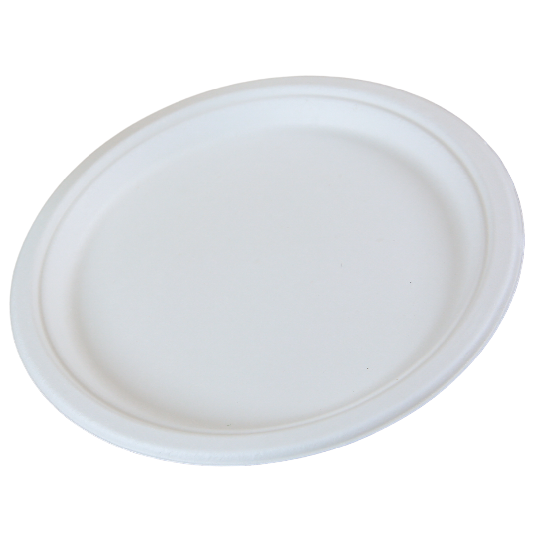 Sugarcane/Bagasse Plate (ECO-YP10 / PL1101-GV) - Green Valley