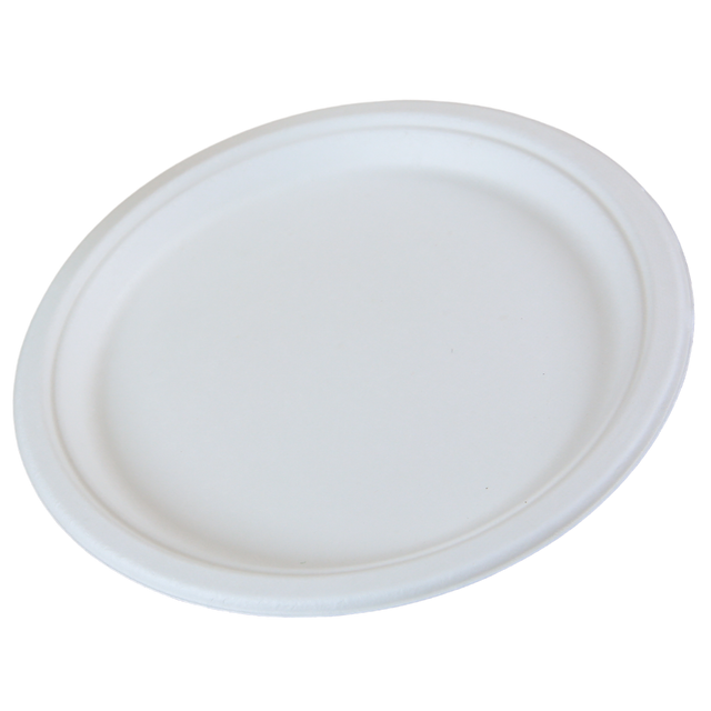 10" Round Sugarcane Plate - 1-Comp.