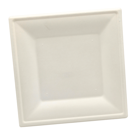 10" Square Sugarcane Plate