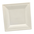 10" Square Sugarcane Plate