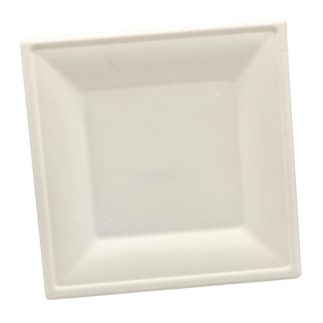 10" Square Sugarcane Plate