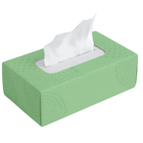 Gogo Facial Tissue - PPF-GOGO-12X - 24/case