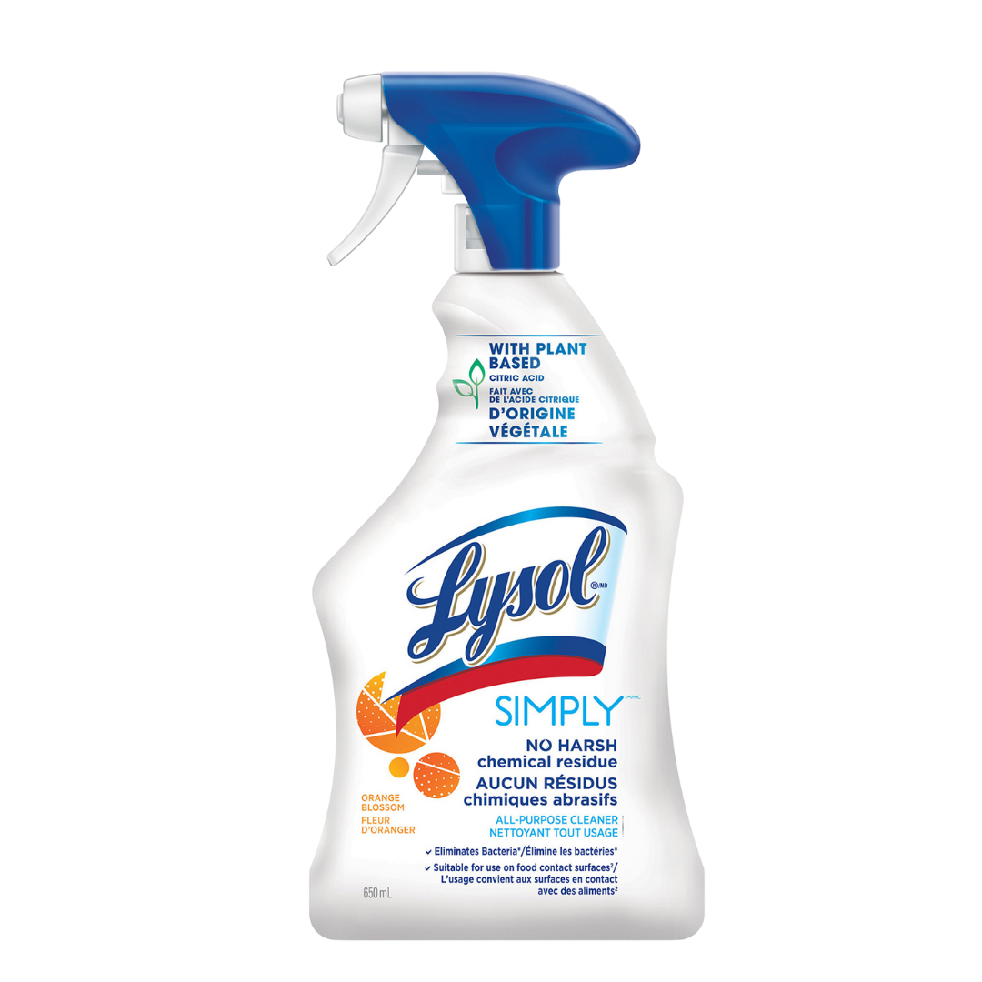 LYSOL ALL-PURPOSE CLEANER
