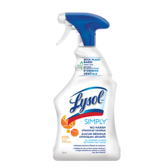 LYSOL ALL-PURPOSE CLEANER () 12 x 650 ml - Lysol