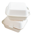 Sugarcane Take-Out Container - SC1661-GV - 400 pcs,