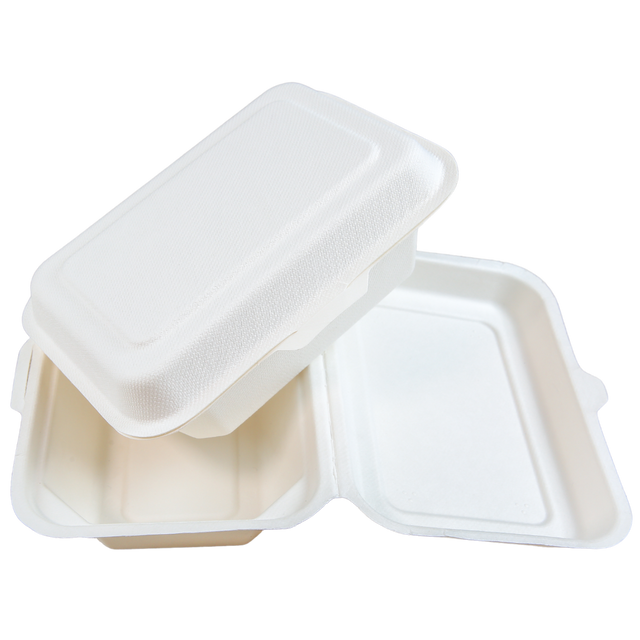 Sugarcane/Bagasse Take-Out Container - SC1751-GV - 500 pcs