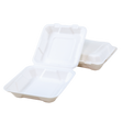 Sugarcane/Bagasse Take-Out Container - SC1881-GV - 200 pcs, 9Lx6