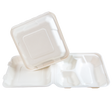 Sugarcane/Bagasse-Take-Out-Container-(EFCO1883-D)-8"-x-8"-x-3",-3-Comp---Green-Valley