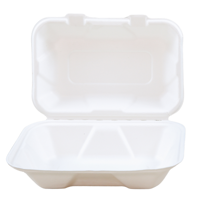 Sugarcane/Bagasse Take-Out Container - SC1961-GV - 200 pcs, 8Lx9/S