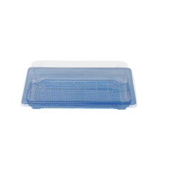 Sushi Tray (BX-09) Rectangular,243 x 154 x 53mm - BX Packaging