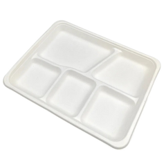 Sugarcane/Bagasse Tray (TR3108-GV) 10" x 8", 5 Compartment - Green Valley